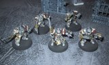Grey Knight Terminators
